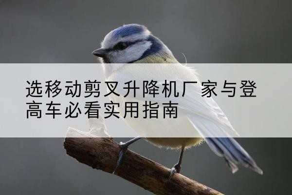平塘电动升降机厂家-选移动剪叉升降机厂家与登高车必看实用指南
