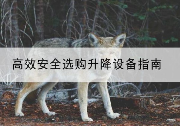 平塘升降货梯厂家推荐-*安全选购升降设备指南