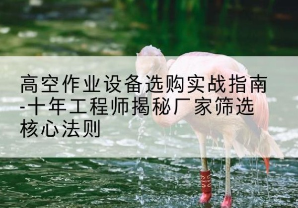 平塘剪叉式升降机厂家-高空作业设备选购实战指南-十年工程师揭秘厂家筛选核心法则