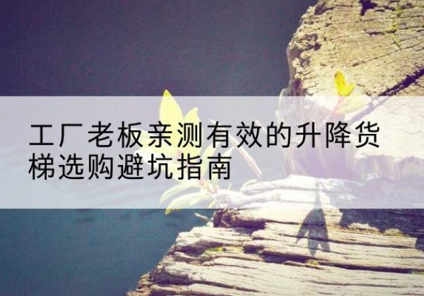 平塘升降货梯怎么选-工厂老板亲测有效的升降货梯选购避坑指南